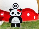 りぼんがチャームポイント♪りぼんちゃん