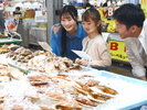 とれとれ市場イメージ