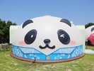 南の国が憧れ!アロハくん