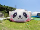 自慢のドレス、すてきでしょ?ぱんだ姫♪