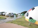ぱんだちゃん大集合!散歩も楽しい♪