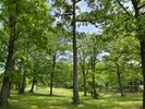 体験プログラム「ウォークラリー」広大な園地内はクイズのフィールド!※有料
