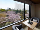 和室ガーデンスイート ※桜の開花状況により桜の見え方が異なる場合がございます。