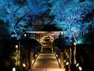 高輪廿六夜・高台にあり見晴らしの良い高輪には、江戸時代に月の出を待って拝む月待ちの文化がありました