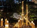 今宵、都会のまぶしさから離れ、月の明かりを愉しむ風流な体験をしてみませんか