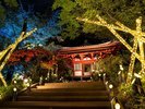 ホテル内の各所で、高輪廿六夜にちなんだ月待ち体験をお愉しみいただけます。