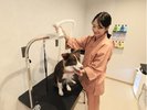 【トリミングルーム】本格的なトリミング体験で非日常感を満喫