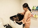 【トリミングルーム】たくさん遊んだ後はキレイに