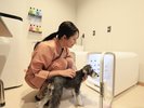 【トリミングルーム】シャンプーの後はドライヤーで元通り