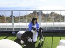 【ルーフトップドッグラン】天気がいいと初島が見えます!