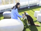【ルーフトップドッグラン】芝生だから足にやさしい