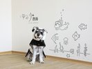 【フォトスポット】愛犬との想い出づくりにご利用ください