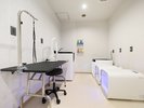 【トリミングルーム】本格的なトリマー体験ができる