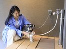 【屋外ドッグラン/足洗い場】遊んだ後はわんちゃんの足をキレイに