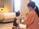 【温泉露天風呂付き】ガーデン和洋室/45u ※禁煙