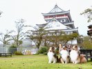 ◆熱海城:海を一望できる歴史的な城。わんちゃんと一緒に散策OK!