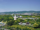 ★万博記念公園
