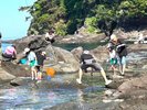 琴が浜で磯遊び!