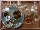 小田原梅シロップ作り