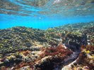 真鶴の透明な海と貸切風呂で、特別な夏を満喫。