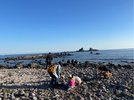 真鶴の海で学びと遊びを満喫!貝拾いからクラフトまで、親子で特別な夏のひとときを。