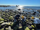 真鶴の海で学びと遊びを満喫!貝拾いからクラフトまで、親子で特別な夏のひとときを。
