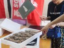 真鶴の人気干物店で使える「干物引換券」をプレゼント