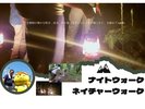 ナイトウオーク