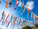 横瀬鯉のぼり