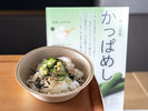 ご当地メニューでかっぱめしをご堪能ください