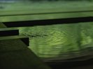 貸切温泉:露天・サウナ・水風呂・外気浴(有料|要予約制)