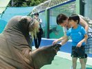 �ɐ��V�[�p���_�C�X (ISE Sea Paradise)�u�iC�j�ɐ��u���ό��R���x���V�����@�\�v