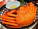 鳥取境港直送の真っ赤な紅ズワイ蟹。瑞々しく甘い身が特徴です。