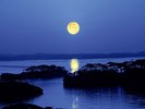 【松島に浮かぶ月】日本百名月にも選定。芭蕉が「武蔵野の月の若生えや松島種」と詠んだことでも有名です。