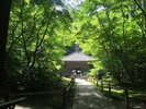 【円通院】松島の新緑名所。四季折々の景色が楽しめる。