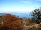 秋の金華山。牡鹿半島の突端に浮かぶ信仰の島。手つかずの自然が残り、秋には紅葉も美しい。