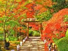 秋の円通院。日本庭園を彩る風景は芸実的な絶景。