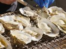 牡蠣が旬の冬には大人気の牡蠣小屋。松島の冬の味覚をぜひご堪能ください。