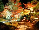 円通院ライトアップ。松島一の人気紅葉スポット。幻想的な世界をぜひご体感ください。