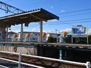 【JR矢本駅】ホームは映画「キリエのうた」のロケ地にもなりました。