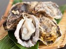 東松島の一年物牡蠣ほか地産食材を味わうガストロノミーコース。心をこめて特別な一皿をご用意いたします。