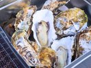 牡蠣の旨味がぎゅっと凝縮したかんかん焼きは熱々蒸したてでご用意いたします。
