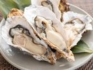 宮城の豊かな海で育った牡蠣。栄養も豊富で濃厚な旨味が特徴です。