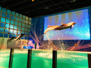 浅虫水族館/イルカパフォーマンス