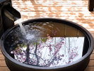 【別邸桜桃庵E‐ラグジュアリー:123】天童温泉の湯と、季節のうつろいがあなたを癒します。