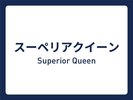 ■スーペリアクイーンルーム■16平米/ベッド幅160cm
