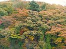 施設裏は箒川沿い 秋は紅葉がきれいです