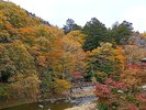 施設裏は箒川沿い 秋は紅葉がきれいです
