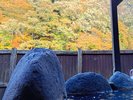 露天風呂からの眺め