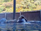 露天風呂からの眺め
